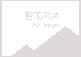 阿坝县晓亦咨询有限公司